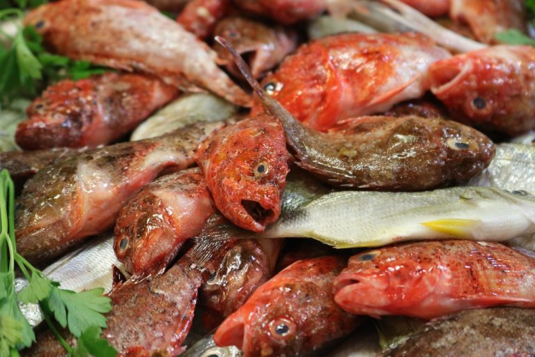 fish market, fish stand, market hall